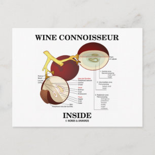 Cartão Postal Dentro de Connoisseur de Vinho (Bagaço de Uvas de