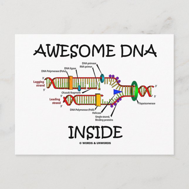 Cartão Postal Dentro de DNA incrível (Frente)