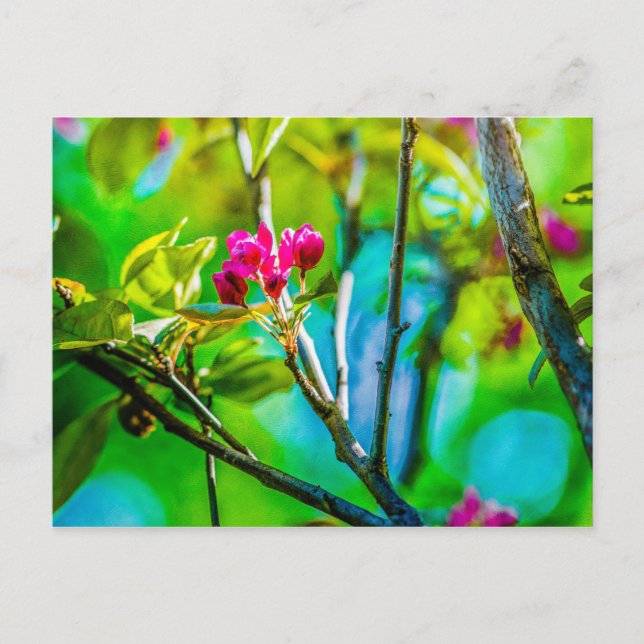 Cartão Postal Dentro de Flor (Frente)