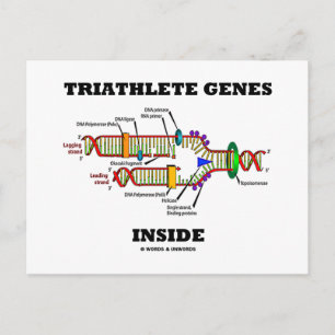 Cartão Postal Dentro de Genes Triathlete (Replicação de DNA)