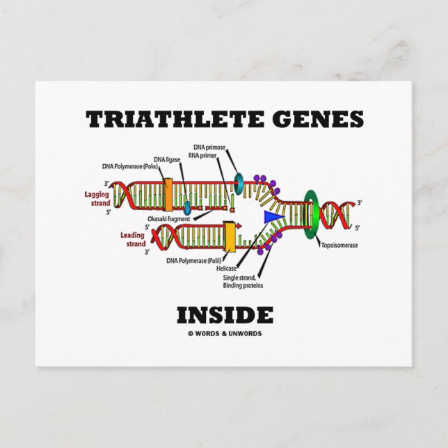 Cartão Postal Dentro de Genes Triathlete (Replicação de DNA) (Frente)