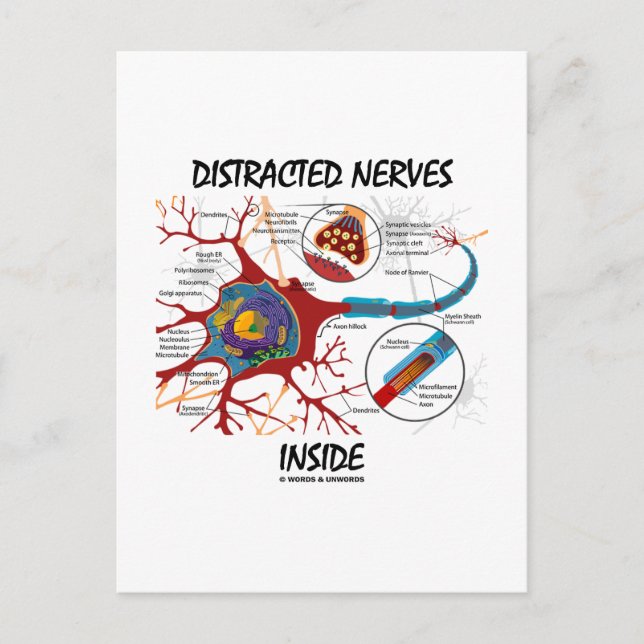 Cartão Postal Dentro de nervos distraídos (Synapse) (Frente)