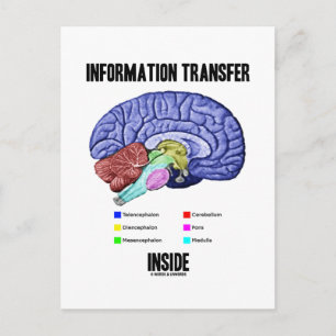 Cartão Postal Dentro de transferência de informações (Anatomia c