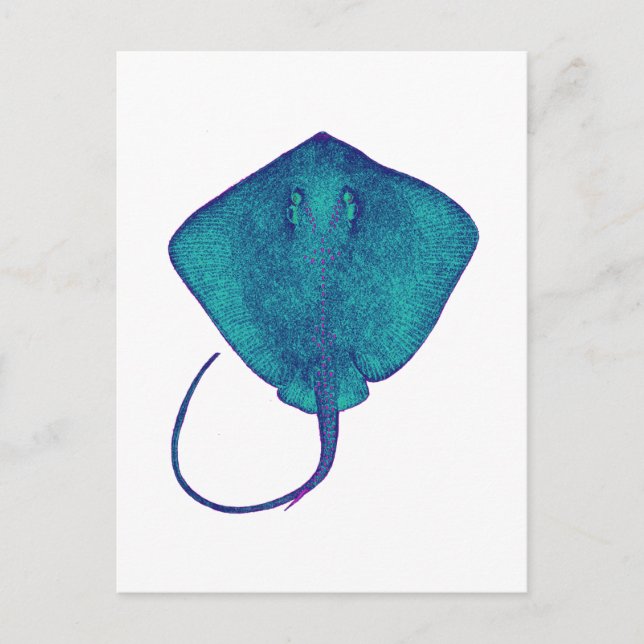 CARTÃO POSTAL DENTRO DO AZUL (Frente)