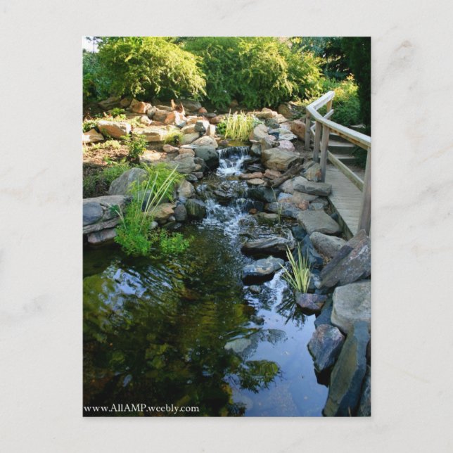 Cartão postal Denver (Frente)