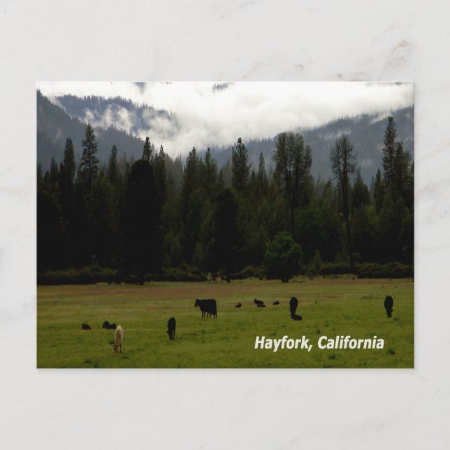 Cartão Postal Depois da chuva....... (Frente)