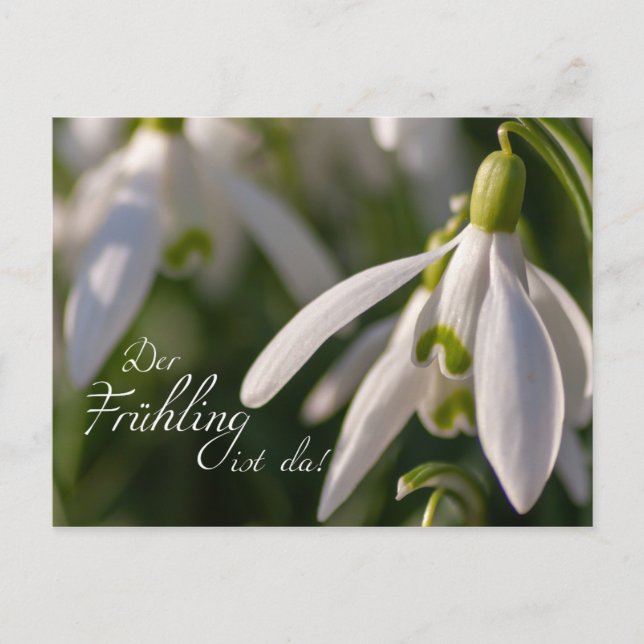 Cartão Postal Der Frühling ist da! (Frente)