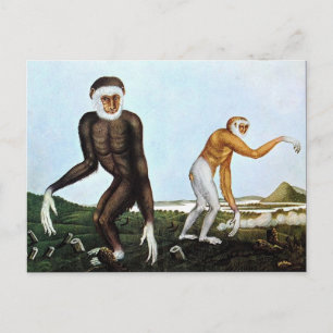 Cartão Postal Der Gibbon ou The Gibbon (1833)