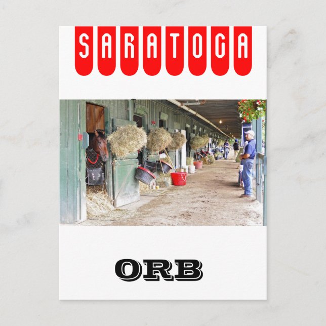 Cartão Postal Derby winner "Orb" como 2 anos de idade (Frente)