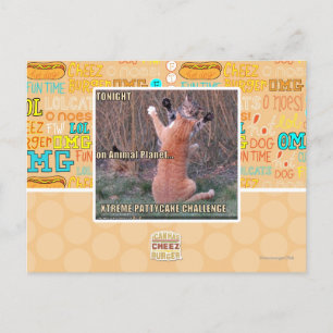 Cartão Postal Desafio Xtreme PattyCake