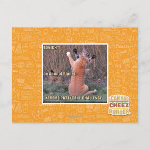 Cartão Postal Desafio Xtreme PattyCake