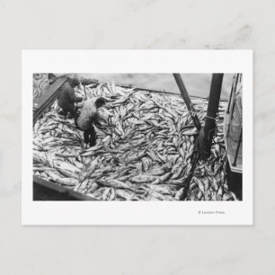 Cartão Postal Descarregamento de Salmão da Fotografia dos Barco