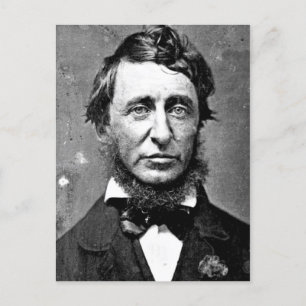 Cartão Postal Descrição Henry David Thoreau (1817-1862) em junho