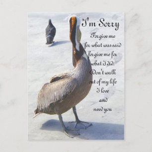 Cartão Postal Desculpe.
