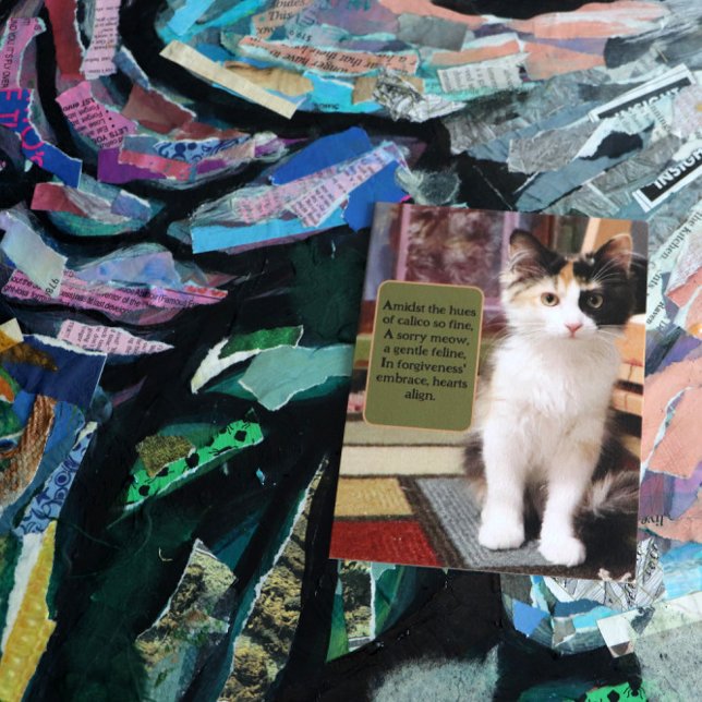 Cartão Postal Desculpe Calico Kitten (Criador carregado)