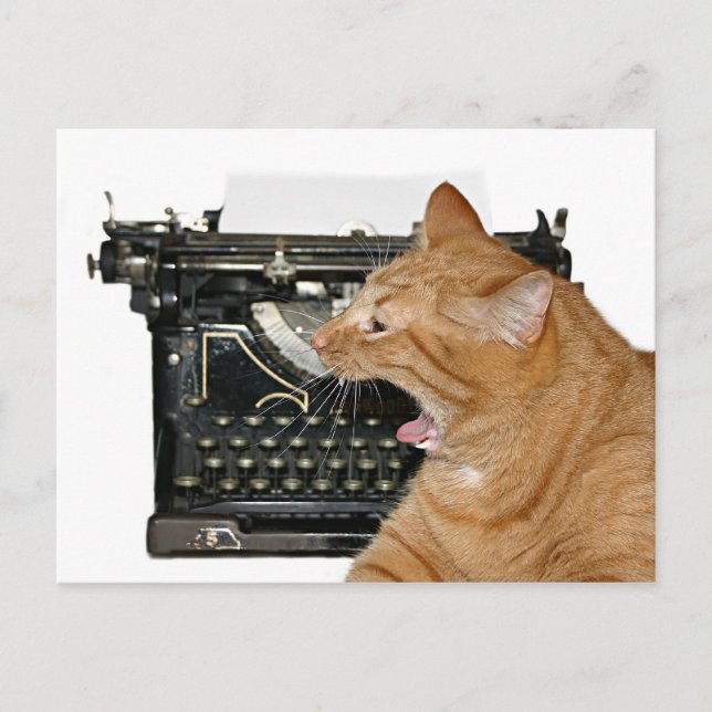 Cartão Postal Desculpe não ter escrito (Frente)