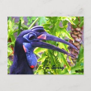 Cartão Postal Desculpe/Perdoe Me/ Saudade_Cartão Postal