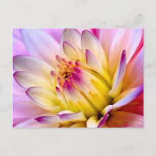 Cartão Postal Desdobramento da ventoinha