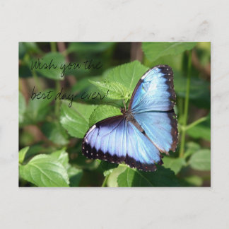 Cartão Postal Deseje-lhe o melhor dia nunca!