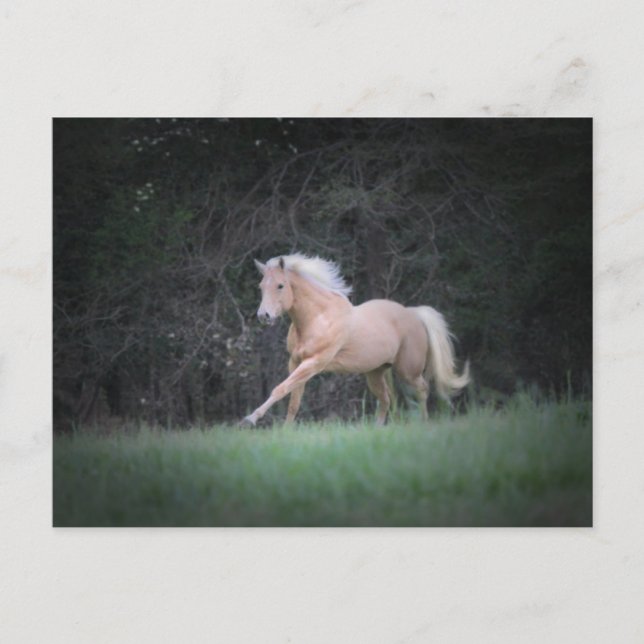 Cartão Postal Desejo forte (Frente)