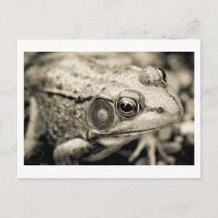 Cartão Postal desejo simples do dia