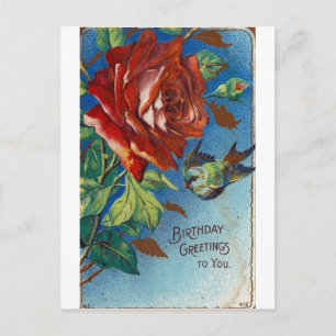 Cartão Postal Desejos de Aniversário Antigos Rosa e Pássaro