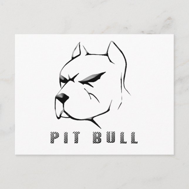 Cartão Postal Desenhar Pitbull (Frente)