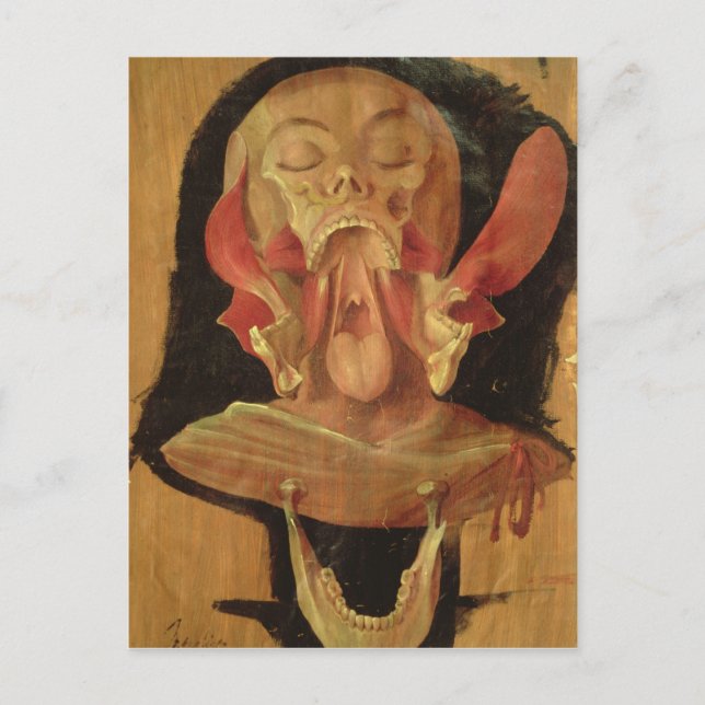 Cartão Postal Desenho anatômico da cabeça (Frente)