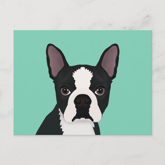 Cartão Postal desenho animado boston terrier (Frente)