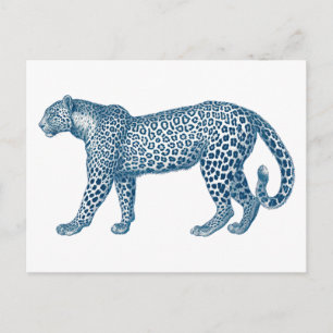 Cartão Postal Desenho antigo de um Leopardo