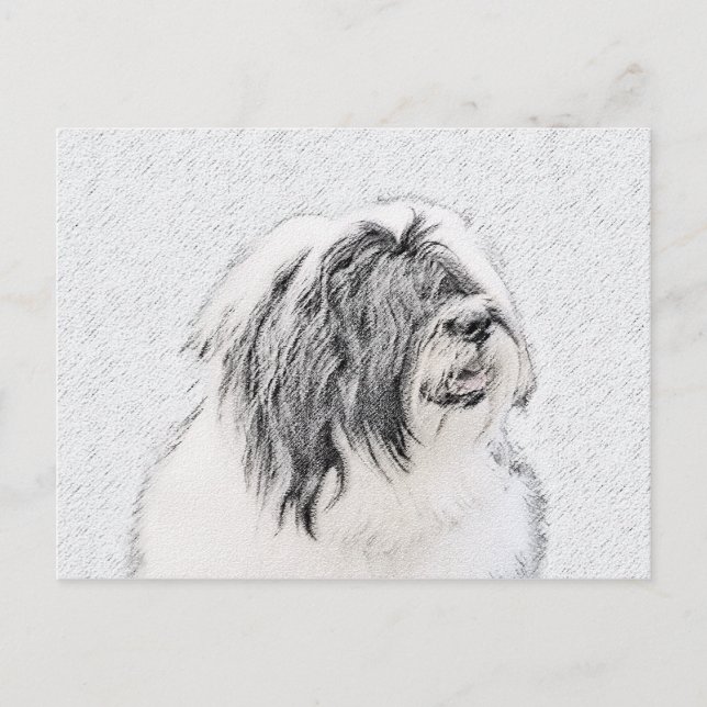 Cartão Postal Desenho Collie Com Carapaça - Arte Cachorra Origin (Frente)