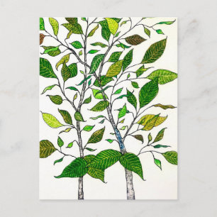 Cartão Postal Desenho da Árvore do Lápis de Cor da Planta Ficus