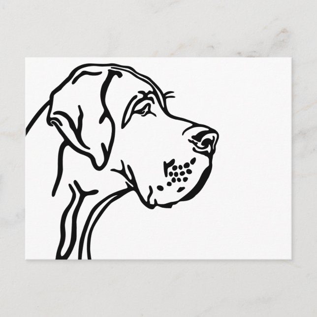 Cartão Postal Desenho da cabeça de um Great Dane (Frente)
