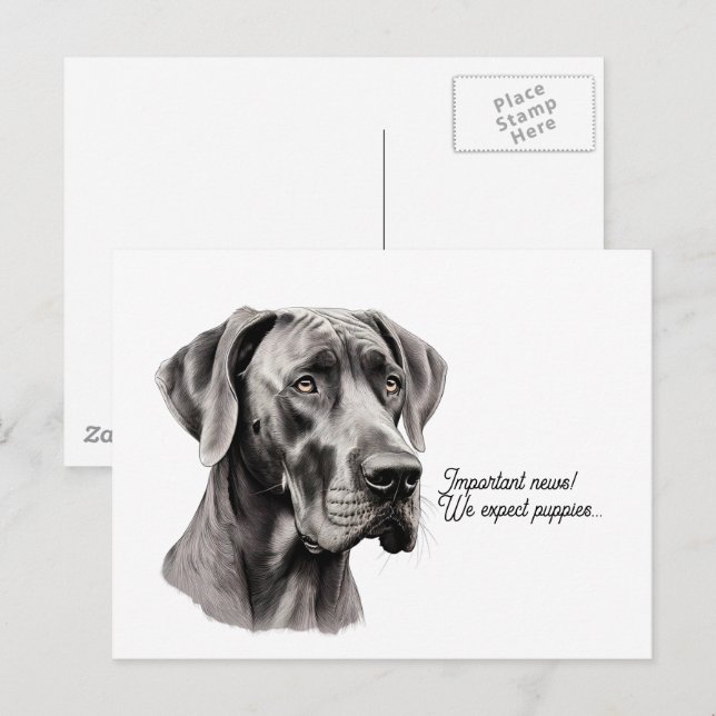 Cartão Postal Desenho da cabeça do Great Dane (Frente/Verso)