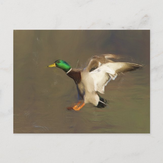 Cartão Postal Desenho de aterrissagem (Frente)