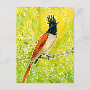 Cartão Postal Desenho de aves tropicais do Paraíso Indiano Flyc