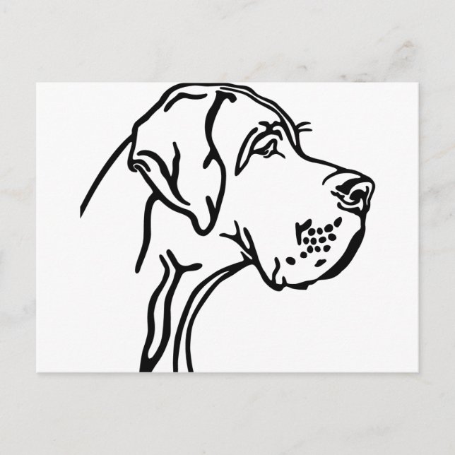 Cartão Postal desenho de cabeça de Great Dane (Frente)