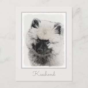 Cartão Postal Desenho de Cachorro Keeshond - Arte Original de Ca