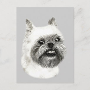 Cartão Postal Desenho de Cão Griffon em Bruxelas