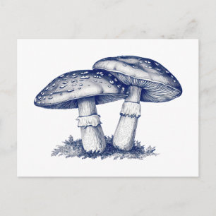 Cartão Postal Desenho de cogumelo antigo