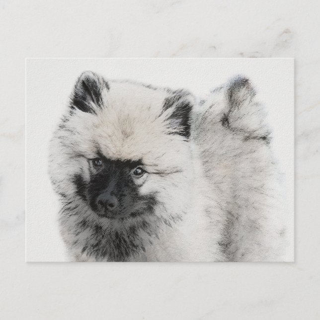 Cartão Postal Desenho de Filhote de Keeshond - Arte Original de  (Frente)