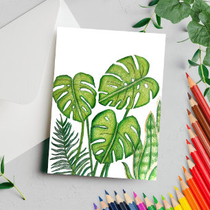 Cartão Postal Desenho de Folhas Verdes de Monstera com Lápis de 