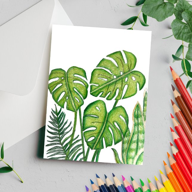 Cartão Postal Desenho de Folhas Verdes de Monstera com Lápis de  (Criador carregado)