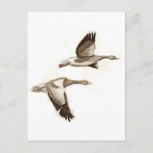 Cartão Postal Desenho de gansos voadores