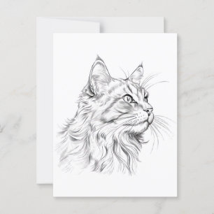 Cartão Postal Desenho de gato