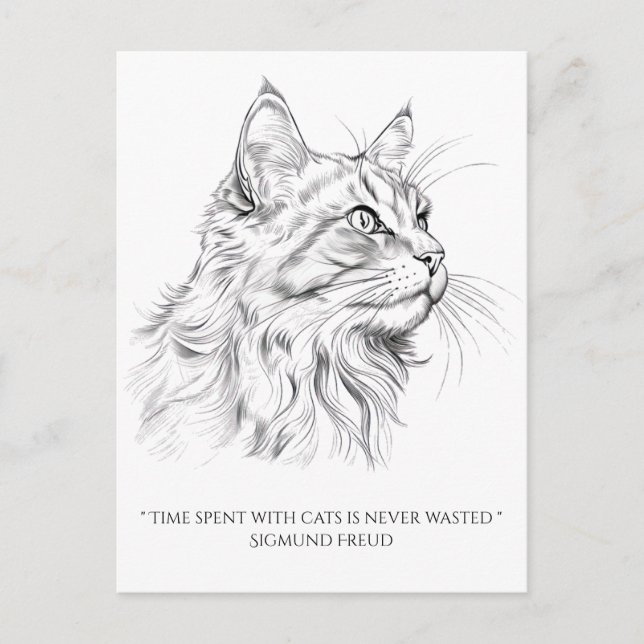 Cartão Postal Desenho de gato  (Frente)