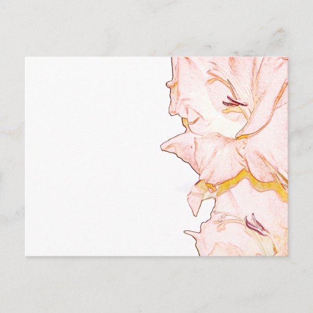 Cartão Postal Desenho de Gladiolus (Frente)