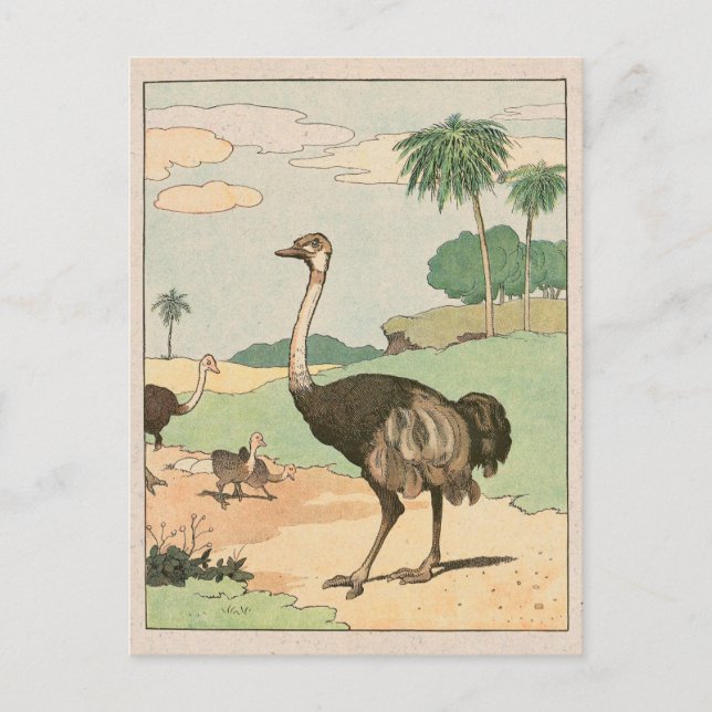 Cartão Postal Desenho de Histórias de Ostrich (Frente)