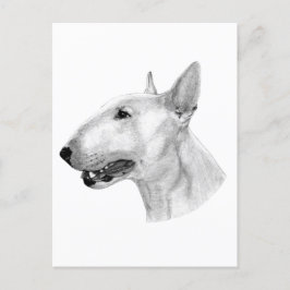 Cartão Postal Desenho de lápis Bull Terrier