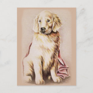 Cartão Postal Desenho de retrato de cachorro filhote Golden Retr